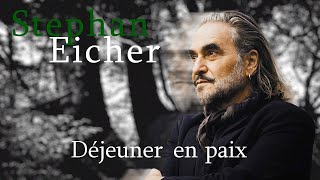 Stephan Eicher Déjeuner en paix Karaoke [upl. by Rosario]