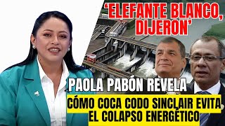 ‘Elefante blanco dijeron’ Paola Pabón revela cómo Coca Codo Sinclair evita el colapso energético [upl. by Edholm]