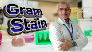 Gram Stain Procedure [upl. by Silliw145]