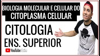 Aula 23 Organelas de Células Eucariontes  Citologia para Ensino Superior [upl. by Sigsmond]