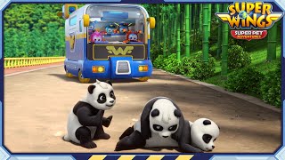 SUPERWINGS7 Panda Monium and more  Superwings Superpet Adventures  S7 Compilation EP13 [upl. by Htevi]