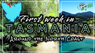 First week in TASMANIA around the North Coast [upl. by Gefell231]