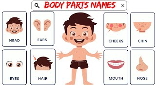 Learn Body Parts Song  3D Animation Nursery Rhyme for Kids [upl. by Airotcivairam]