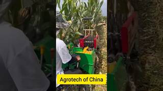 agrotech China  cornmaize harvester machine  Chinese farmer [upl. by Kcolttam463]