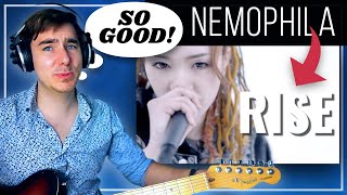 Guitar Teacher Reacts NEMOPHILA  RISE [upl. by Eenafets]