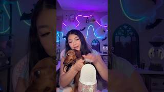 Real or Fake🐶 asmr shorts [upl. by Eliot]