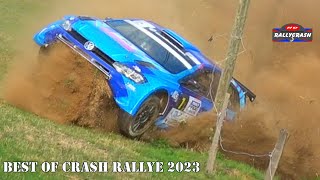 BEST OF RALLY 2023  Big Crash Action amp Fails  HDrallycrash [upl. by Aniroz838]