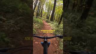 Vineyard Mountain Trail  Lunch Break ride down some classic Corvallis singletrack mtb [upl. by Najtsirk]