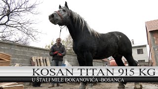 BOSANAC KUPIO OPASNOG TITANA OD 915 KG [upl. by Saisoj45]