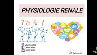 Physiologie rénale  partie 1 [upl. by Yojal]