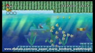 New Super Mario Bros Wii Walkthrough  World 14 [upl. by Margarete]