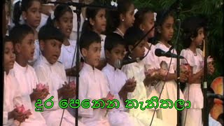 Dura Penena Thenithala  දුර පෙනෙන තැනිතලා  visiravlog [upl. by Ahsennek]