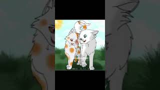 Brightheart and Cloudtail edit warriorcats edit [upl. by Arnelle362]