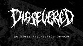 Dissevered  “Ruthless Nasogastric Gavage Scaphism 4way split 2017  New Standard Elite [upl. by Suoicserp]