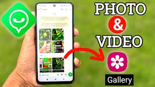 How to Fix WhatsApp Photos Not Showing in Gallery on iPhone [upl. by Enerual95]