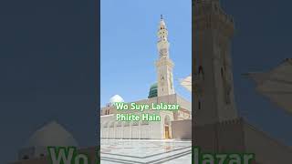 Wo Suye Lalazar Phirte Hain  islamic Status  Naat [upl. by Notsag268]