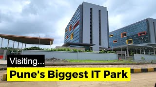 Pune IT Park  Rajiv Gandhi Infotech Park Hinjawadi Pune  TCS Infosys Wipro Cognizant [upl. by Irving]