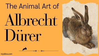 The Animal Art of Albrecht Dürer from the Northern Renaissance art animals drawing [upl. by Tosch177]