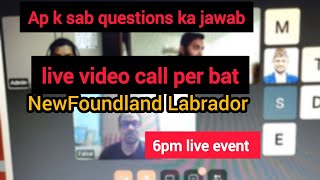 NewFoundland Labrador Virtual Fair 2024 live 6pm face to face video call per bat [upl. by Alemahs26]