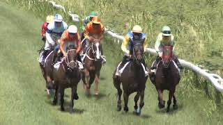 Course 4 PRIX DES BELLES DOUDOUS 280724 [upl. by Annagroeg]