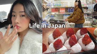 LIVING IN JAPAN ౨ৎ grocery shopping after work kamakura day trip ichigo daifuku [upl. by Lirbij357]