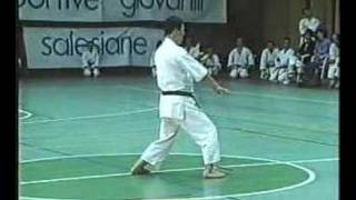 Shirai Sensei Kata Hangetsu with Music [upl. by Malo931]