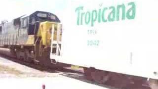 Chasing the Tropicana Train Part 2 [upl. by Anihpled]