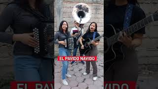 El Pavido Navido lasreynasdelnorteñobanda musica musicatradicionalmexicana acordeon [upl. by Christin104]