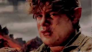 samwise gamgee  the brave [upl. by Sirotek]