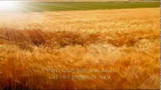 Eva Cassidy  Fields of Gold lyrics [upl. by Tigram]