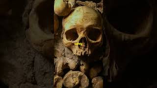 The catacombs of Paris history story stories storytime scary horrorstories facts foryou fyp [upl. by Kirt892]