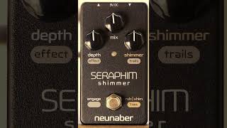 Neunaber Audio  Seraphim Shimmer shorts effectspedals stompbox shimmer [upl. by Rramo]