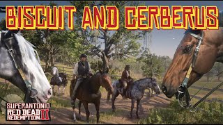 The Second Horse Race With The Fancy Lady With Cerberus and Biscuit in Red Dead Redemption 2 [upl. by Ellinger]