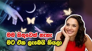 ඔයා විශ්වයට කරන ප්‍රාර්ථනාවක් 100 සපල කරගන්න නම් මේක බලන්නම වෙනවා Love money amp life success [upl. by Aerdma523]