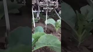 Sensing wali kharpatvar niklne walai machine khetibadi agriculture farming kisan [upl. by Eadas]