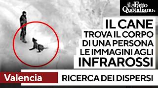 Continua la ricerca dei dispersi elicotteri cani e uomini lungo i fiumi e tra i detriti [upl. by Intisar]