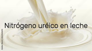 ¿Qué es el Nitrógeno ureico en leche [upl. by Clauddetta3]