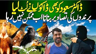 Extreme Birdwatching Chasing Rare Species in War Zones [upl. by Aenyl]