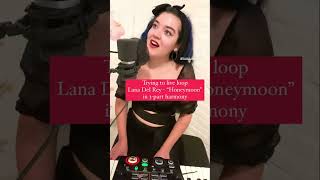 Lana Del Rey  quotHoneymoonquot Live Looping 3Part Harmony Shorts [upl. by Ruphina]