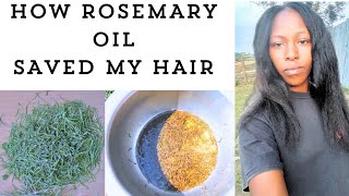 DIY Rosemary Oil For Hair Growth And Hair Fall [upl. by Thorsten166]