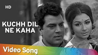 Kuchh Dil Ne Kaha  Dharmendra  Sharmila Tagore  Anupama  Lata  Evergreen Hindi Songs [upl. by Castillo]