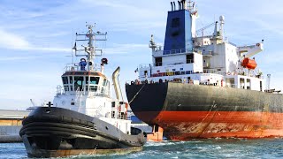 Tugboats  The Science Behind Towing Massive Ships [upl. by Anotyal]