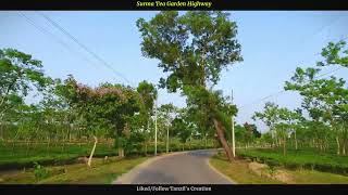 Surma Tea Garden Highwayসুরমা চা বাগানের রাজপথ🌿 [upl. by Donoghue]