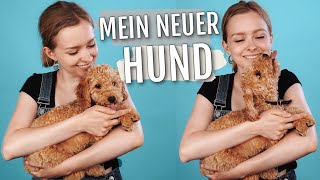 Ich hab einen Hund aus dem Tierheim adoptiert [upl. by Oizirbaf]