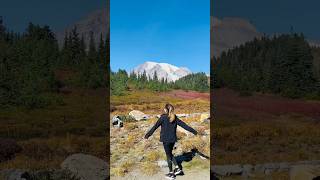 Skyline Trail at Mount Rainier 🗻mountains shortsfeed shorts travel trending viralvideo [upl. by Enrobialc]