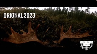 4k  Chasse à lOrignal 2023  TERRITOIRE LIBRE  Zone 28  LacStJean [upl. by Leaj892]