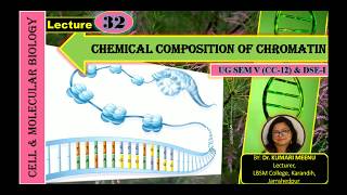 CHEMICAL COMPOSITION OF CHROMATIN FOR UG SemV Cc12 amp DSE1 [upl. by Fatimah]