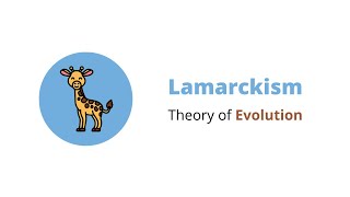 Lamarckism  Infographics  Theories of Evolution [upl. by Haral]