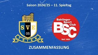 SVETV Eintracht Trier vs Bahlinger SC  Highlights 11 Spieltag Saison 2425 [upl. by Wynny]