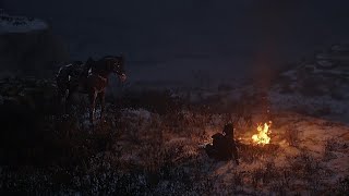 WildWest Roleplay  RDR2  Adventures with Eva [upl. by Egdamlat]